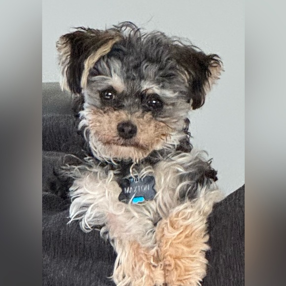 Other - 𝕎𝔼𝕃ℂ𝕆𝕄𝔼 𝕋𝕆 𝕄𝕐 ℂ𝕃𝕆𝕊𝔼𝕋